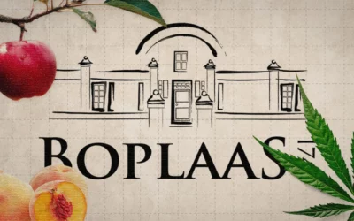 The 283-year-old South African business run by the same family since 1743 – Daily Investor